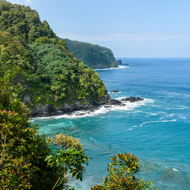 Hana Highway Cliff Maui Hawaii