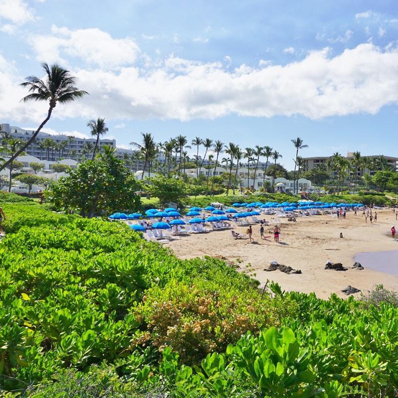 FROM OGG Kahului Airport to Wailea, Makena and Kihei