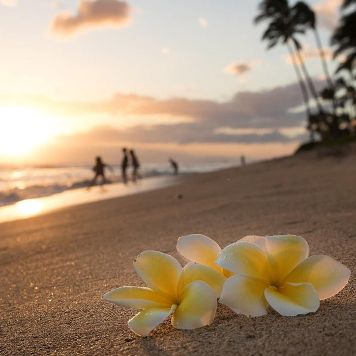 maui sunset beach