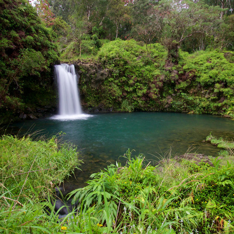 Pua'a Ka'a Falls Hana Maui Hawaii