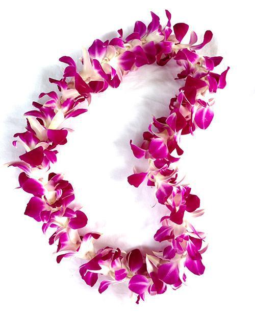 Meet and Greet Service at OGG Kahului Airport Only